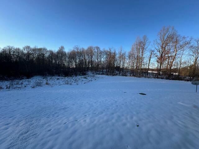 view of yard covered in snow