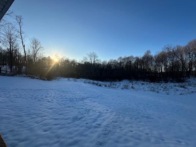 view of yard covered in snow