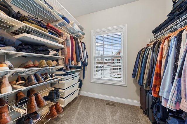 walk in closet featuring carpet