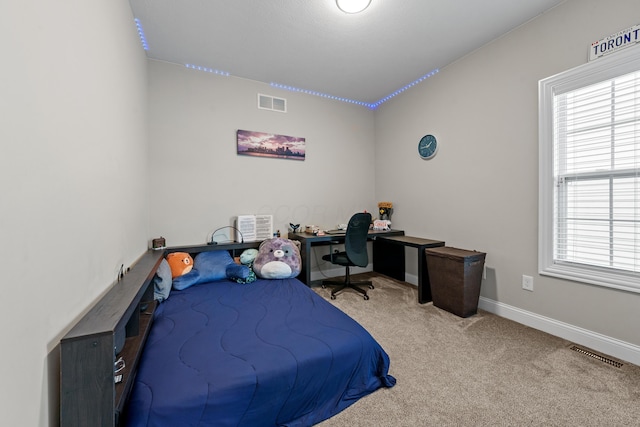 bedroom with multiple windows and carpet flooring