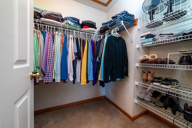 walk in closet with carpet flooring