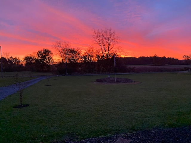 view of yard at dusk