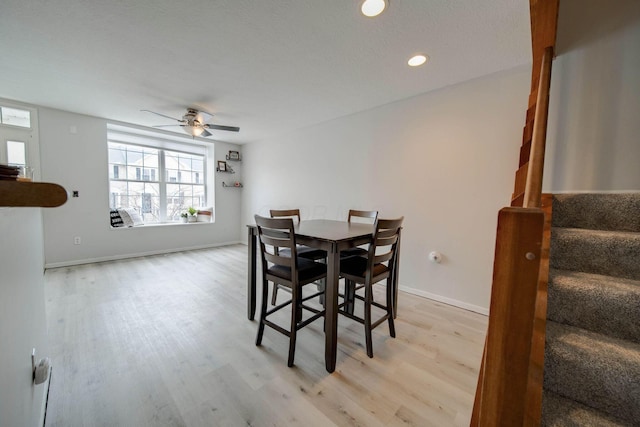 dining space with ceiling fan and light hardwood / wood-style floors