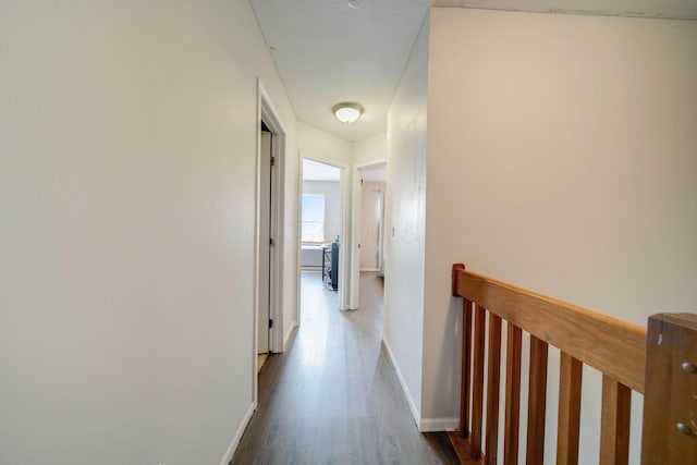 hallway featuring dark hardwood / wood-style flooring