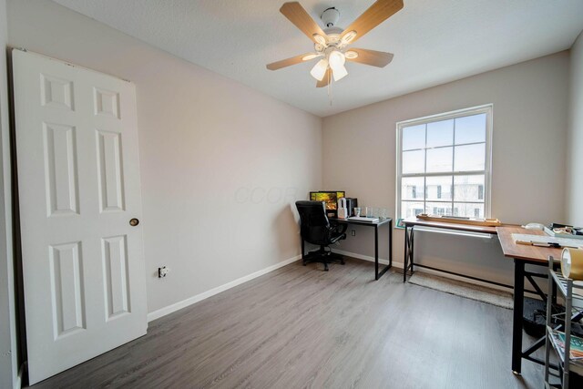 office space featuring ceiling fan and hardwood / wood-style flooring