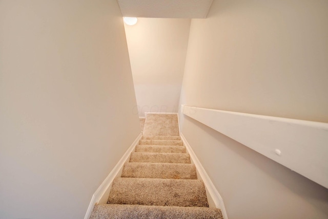 staircase featuring carpet flooring