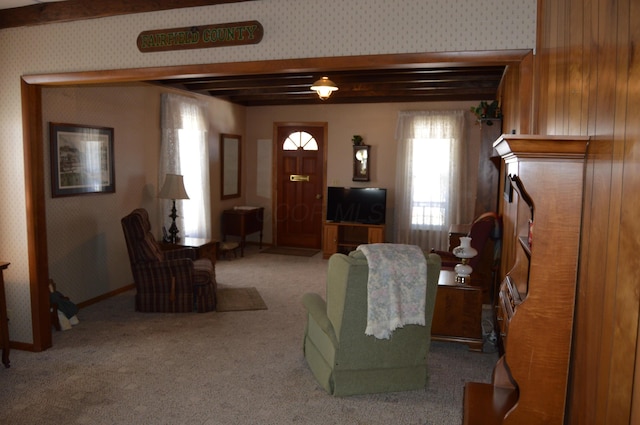 living room with carpet