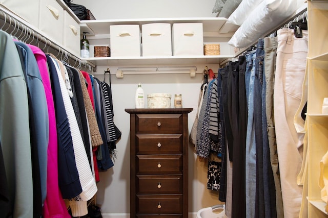 view of spacious closet