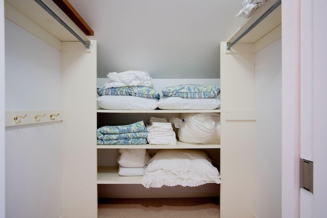 walk in closet featuring carpet