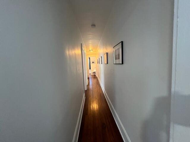 corridor with dark hardwood / wood-style flooring