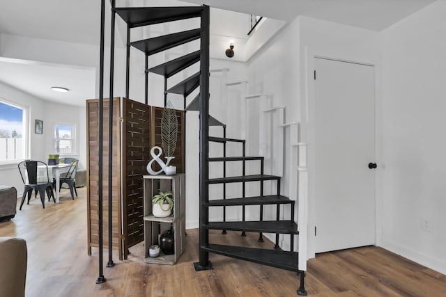 stairway with hardwood / wood-style floors