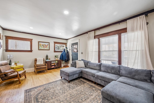 living room with crown molding and wood-type flooring