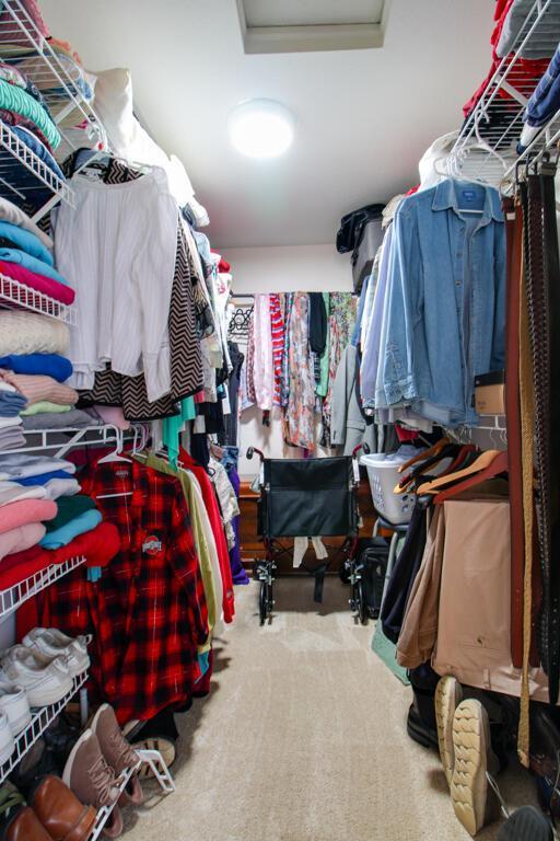 walk in closet featuring carpet