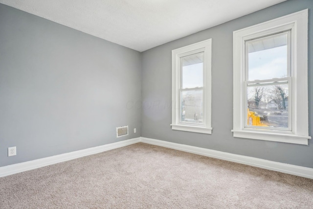 carpeted empty room featuring a wealth of natural light