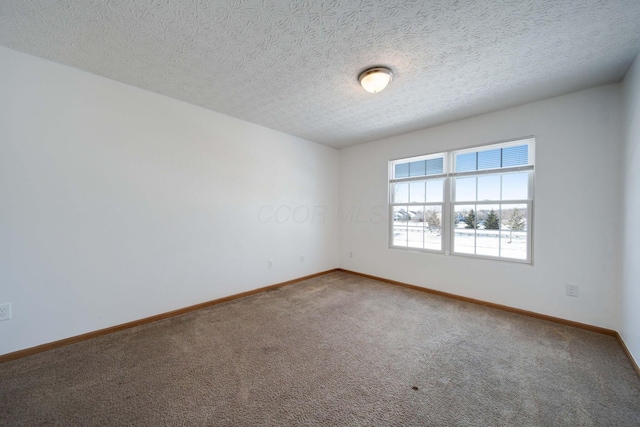 unfurnished room featuring a textured ceiling and carpet floors