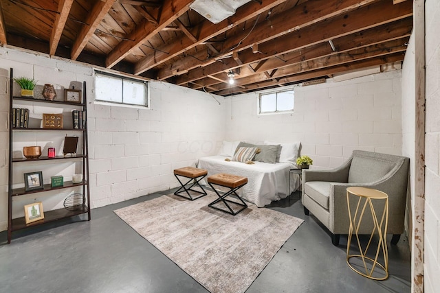 basement with a wealth of natural light