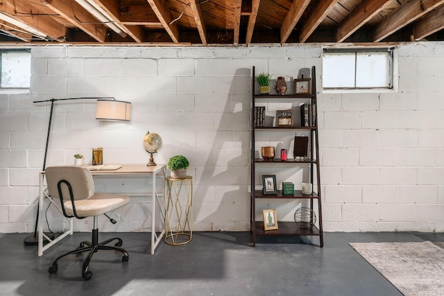 basement with plenty of natural light