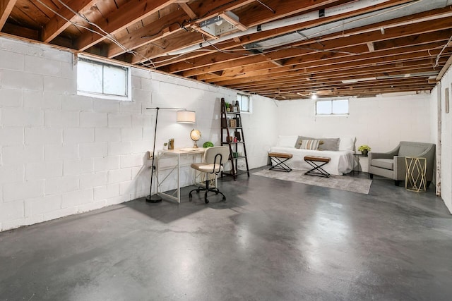 basement with a wealth of natural light