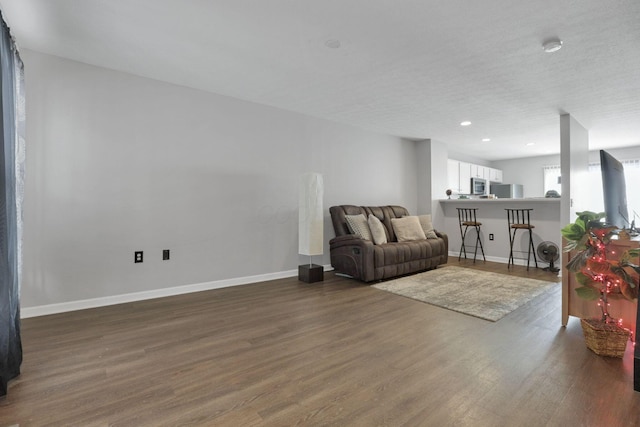 living room featuring wood-type flooring