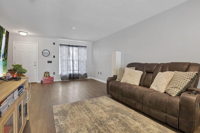 living room featuring dark hardwood / wood-style flooring