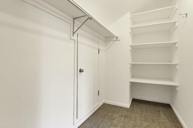 spacious closet with dark colored carpet