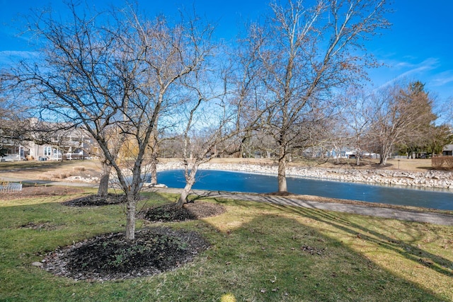 view of yard featuring a water view