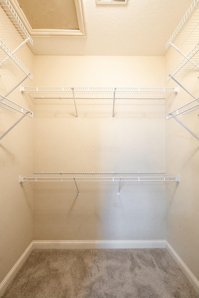 spacious closet with carpet