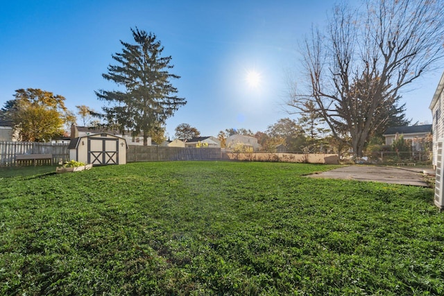 view of yard with a patio and a storage unit