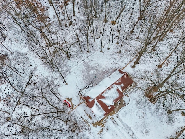 view of snowy aerial view