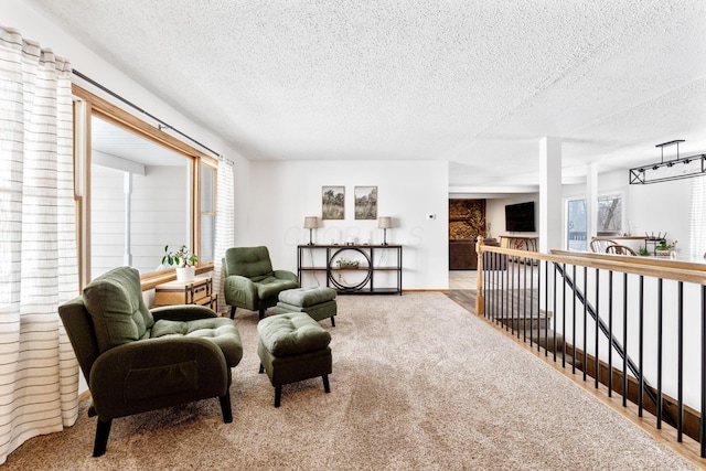 living area featuring light carpet and a textured ceiling