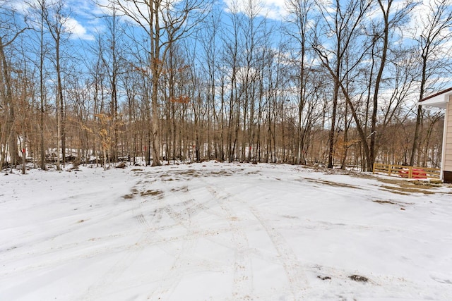 view of yard covered in snow