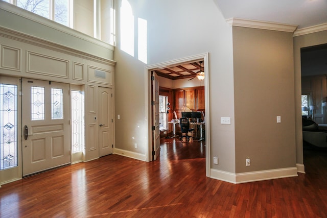 foyer with a wealth of natural light, ornamental molding, wood-type flooring, and ceiling fan