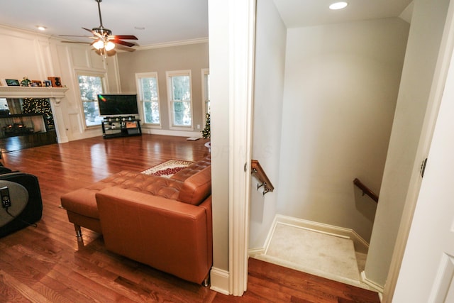 living room with ceiling fan, wood-type flooring, and ornamental molding