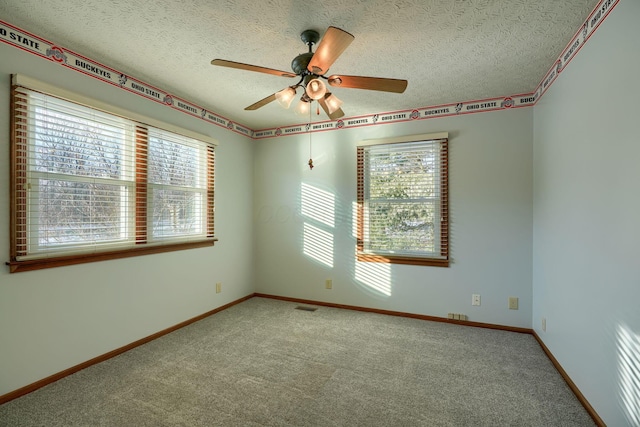 empty room featuring carpet, plenty of natural light, and a textured ceiling