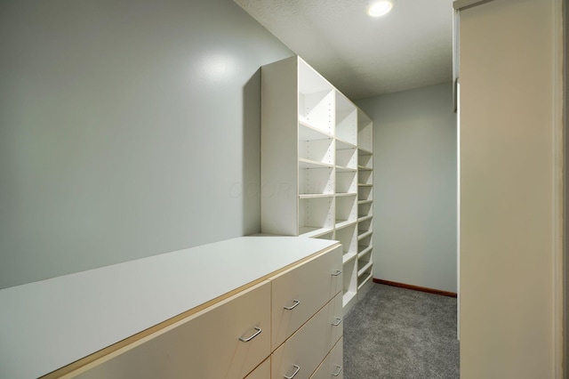 spacious closet with dark colored carpet