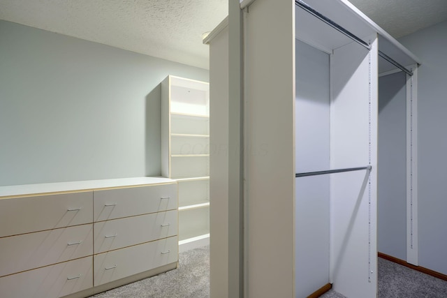 spacious closet with light colored carpet