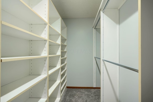 walk in closet featuring dark colored carpet