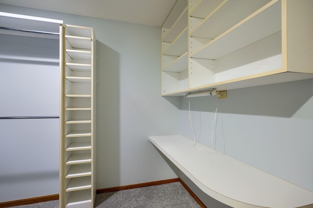 spacious closet with carpet