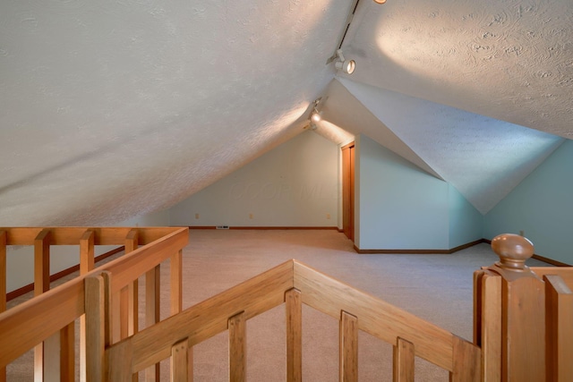 additional living space with light colored carpet, a textured ceiling, and vaulted ceiling