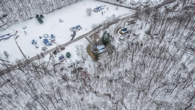 view of snowy aerial view