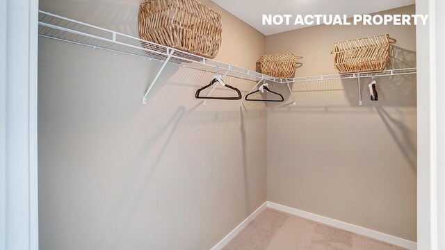 spacious closet featuring carpet flooring