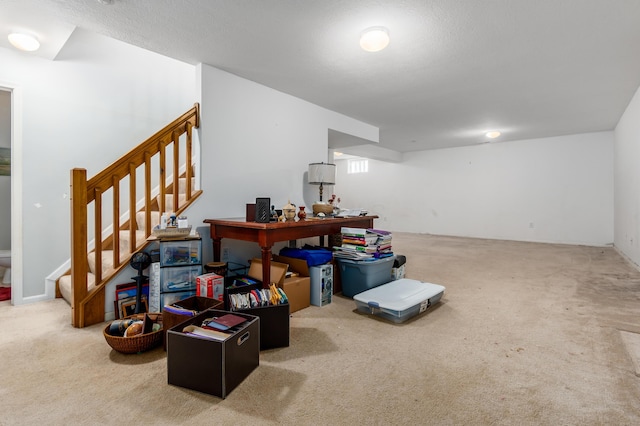 basement featuring carpet floors