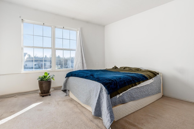 bedroom with carpet flooring