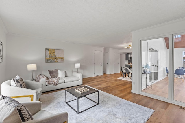 living room with ornamental molding, light hardwood / wood-style floors, and a textured ceiling