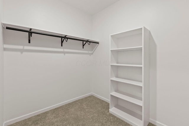 spacious closet with carpet floors