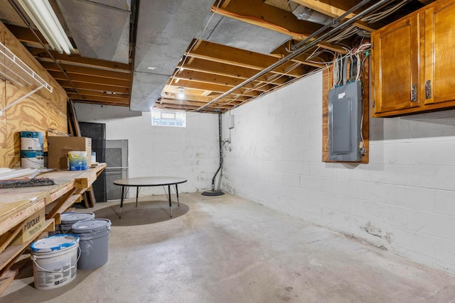 basement with electric panel