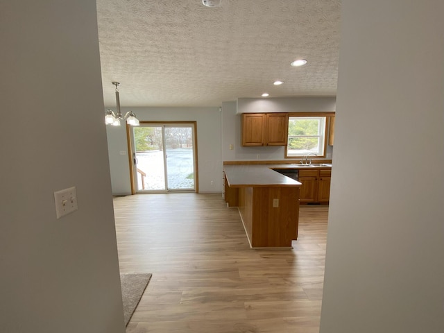 kitchen with sink, hanging light fixtures, light hardwood / wood-style flooring, and plenty of natural light