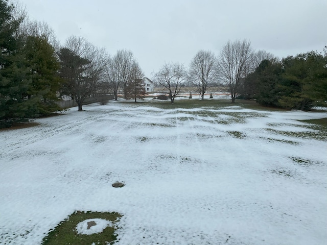 view of snowy yard