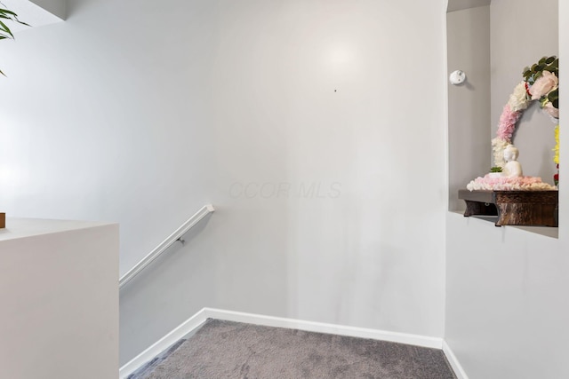 walk in closet featuring carpet flooring