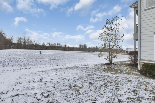 view of yard covered in snow